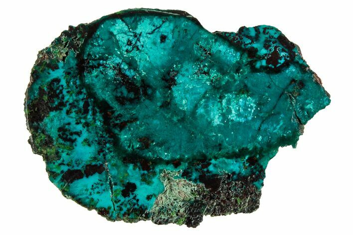 Vibrant Chrysocolla and Shattuckite Slab - Mexico #337044